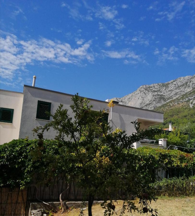 Apartmani Laguna Gradac  Zewnętrze zdjęcie